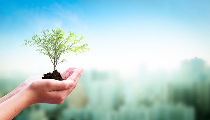 International Day of Charity concept: Human hand holding  tree over city  background