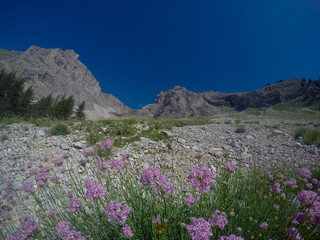 Obraz premium pic de bure - hautes alpes
