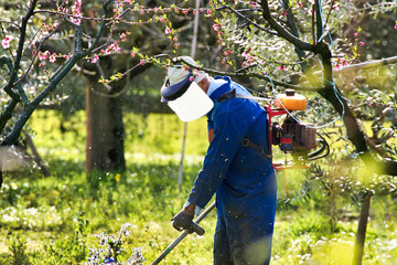 man cutting grass in a garden