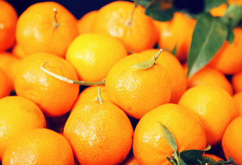 Closeup of ripe mandarins