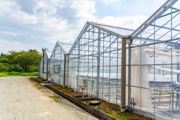 ビニールハウス