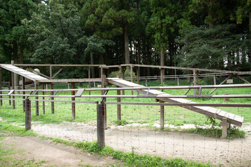 牧場