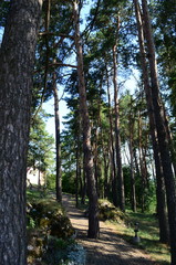 Holy Mountain and Monastery in Polupanovka with 14 statues insinuating the crucifixion of Christ