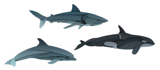 Set of cartoon shark, dolphin, killer whale in trendy paper cut craft graphic style. Modern design character isolated on white background. Colorful creative vector illustration.