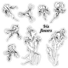 Stickers with bouquet and single buds of iris flowers. Hand drawn ink sketch. Collection of black objects isolated on white background.