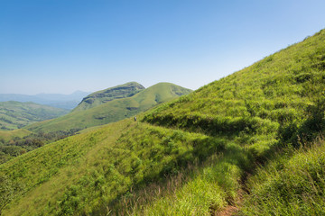 Trekking / Hiking at Kudremukh or Kudremukha national park in Chikmagalur, Karnataka, India. Nature walk amidst green landscape in monsoon season. Beautiful greenery in Forest/ jungle. Tiger reserve