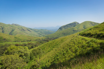 Trekking / Hiking at Kudremukh or Kudremukha national park in Chikmagalur, Karnataka, India. Nature walk amidst green landscape in monsoon season. Beautiful greenery in Forest/ jungle. Tiger reserve