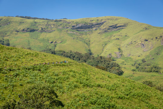 Trekking / Hiking at Kudremukh or Kudremukha national park in Chikmagalur, Karnataka, India. Nature walk amidst green landscape in monsoon season. Beautiful greenery in Forest/ jungle. Tiger reserve