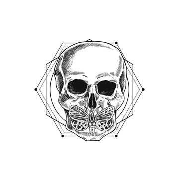 Halloween vintage skull with butterfly illustration. Human skeleton. Tattoo design. Vector illustration