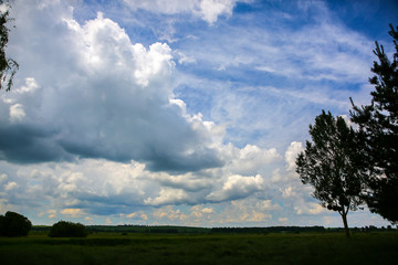 Fototapeta na wymiar Beautiful landscape. Clouds in the sky and a tree on the field. Amazing wallpaper with nature.