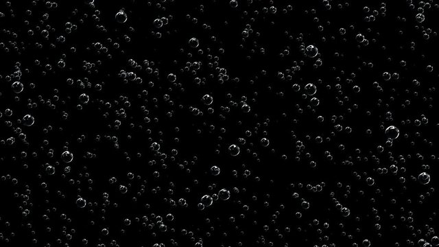 The drink with lots of bubbles. Animation of bubbles moving up on a black background.