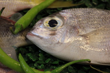 pesce fresco con verdure