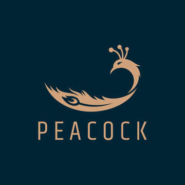 peacock feather logo vector. elegant bird flat style. simple modern animal design