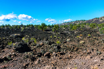 Fototapeta na wymiar Lava Flow In Lava Beds National Monument