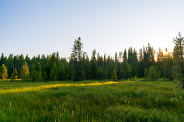 Evening At Meadow Near Mount Hood, Oregon © TSchofield
