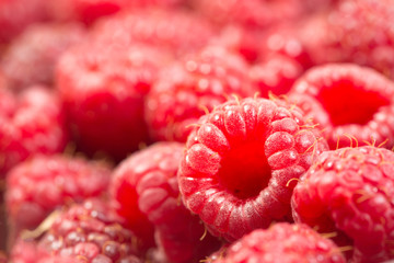 Close up of raw pink fresh raspberries