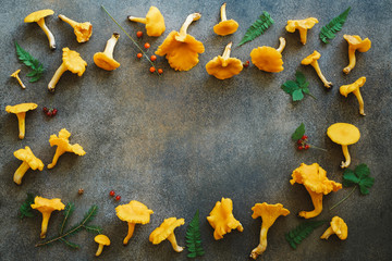 Chanterelles forest mushrooms on gray background. Creative layout. Flat lay