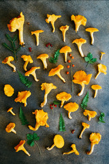 Chanterelles forest mushrooms on gray background. Creative layout. Flat lay