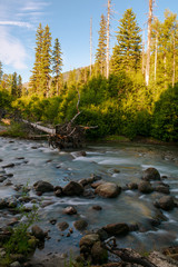 Flowing River Near amount Hood, Oregon