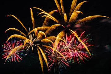 Colorful fireworks in night sky