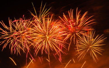 Colorful fireworks in night sky