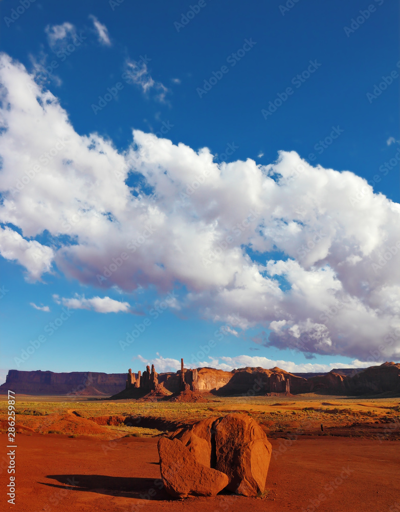 Canvas Prints the red desert