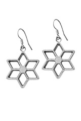 Metal earrings isolated