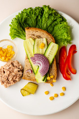 Sandwich with tuna and vegetables top view