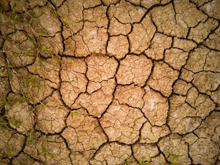 dry cracked earth