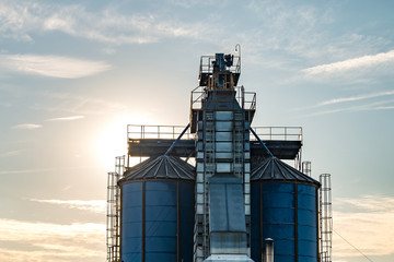silver silos on agro manufacturing plant for processing drying cleaning and storage of agricultural products, flour, cereals and grain. Granary elevator