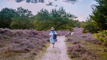 young girl with dress and hat visiting the blooming Heather field Posbank Veluwezoom in the Netherlands, purpple hills with blooming flowers