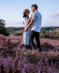 young couple visiting the blooming Heather field Posbank Veluwezoom in the Netherlands, purpple hills with blooming flowers