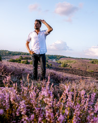 young men visit the Posbank blooming Heather fields, guy walking in blooming Heather field...