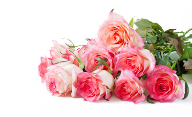 Pink rose flowers bunch isolated on white background