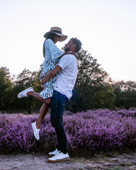 young couple visiting the blooming Heather field Posbank Veluwezoom in the Netherlands, purpple hills with blooming flowers