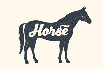 Horse, stallion, lettering. Design of farm animals - Horse