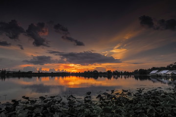 Lake view evening above Lotus lake with yellow sun light and cloudy sky background, sunset at Krajub Lake attraction in Ban Pong, Ratchaburi, Thailand.