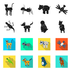 Vector design of toy and science icon. Set of toy and toy stock symbol for web.