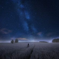 Naklejka na ściany i meble Surreal night landscape with man standing on field under starry sky