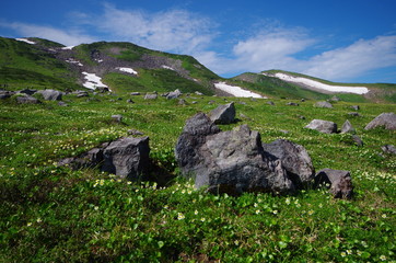 Fototapeta na wymiar 立山室堂の草原と岩