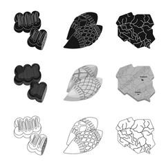 Vector design of traditional and tour icon. Set of traditional and landmarks vector icon for stock.