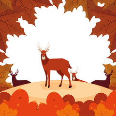 happy autumn season flat design