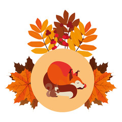 Fototapeta na wymiar fox and squirrel happy autumn season design