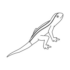 Vector illustration of lizard and tail logo. Collection of lizard and iguana stock vector illustration.