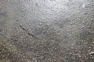 Polluted water with bubbles and white foam on surface