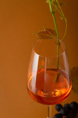 One glass with rose wine close-up
