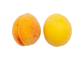 Ripe apricot isolated on a white background