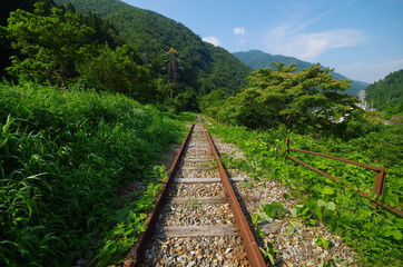 Obraz premium 山奥の廃線のレール