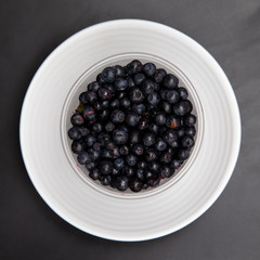 Blueberries in a white plate on a black background