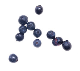 Ripe blueberries on a white background